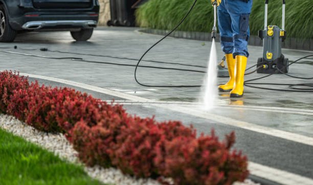 Best Roof Washing  in Forsyth, GA